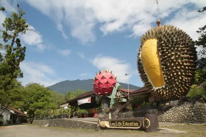 8 Tempat Wisata di Bogor dan Cocok untuk Liburan